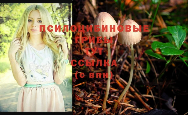 каннабис Верея