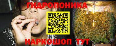 прущие грибы Иваново
