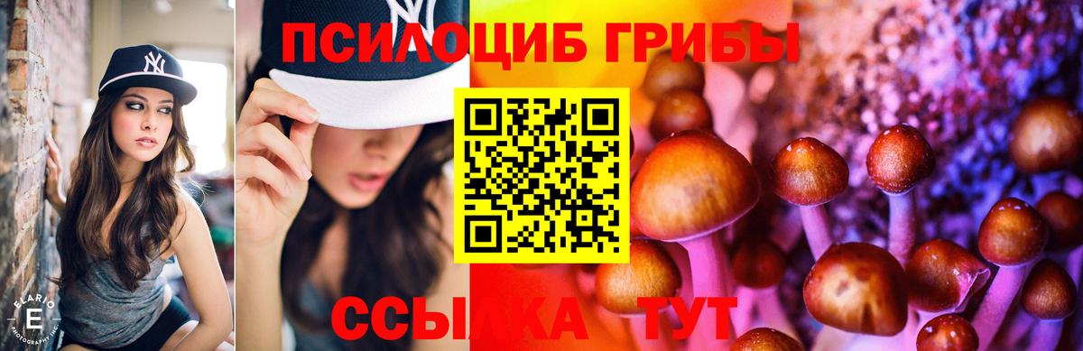 Псилоцибиновые грибы GOLDEN TEACHER  Вход с VPN  Волоколамск 