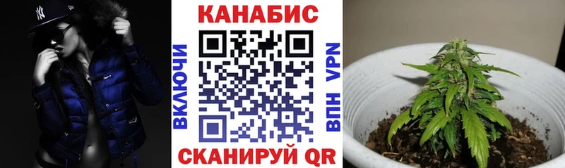 Бошки Шишки VHQ Волоколамск